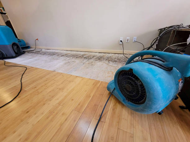 Professional Structural Drying technician working in Nowata, OK